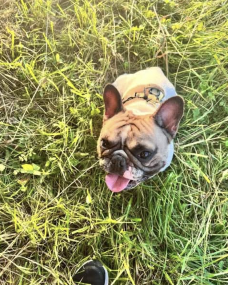 DAG